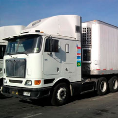 Transportes Astros - 1995